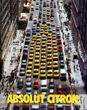 absolut citron taxis