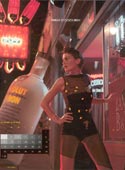 absolut travelling calendar november